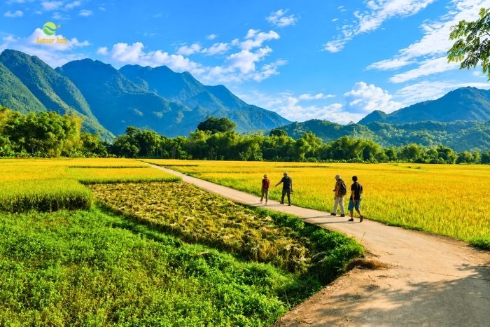 A trip to Vietnam between landscapes and traditions