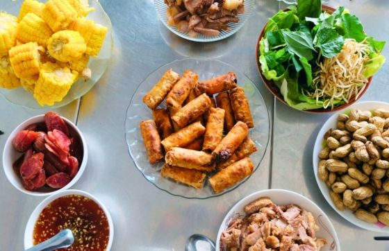 Vietnamese Fried Spring Rolls - Iconic Vietnamese Dish