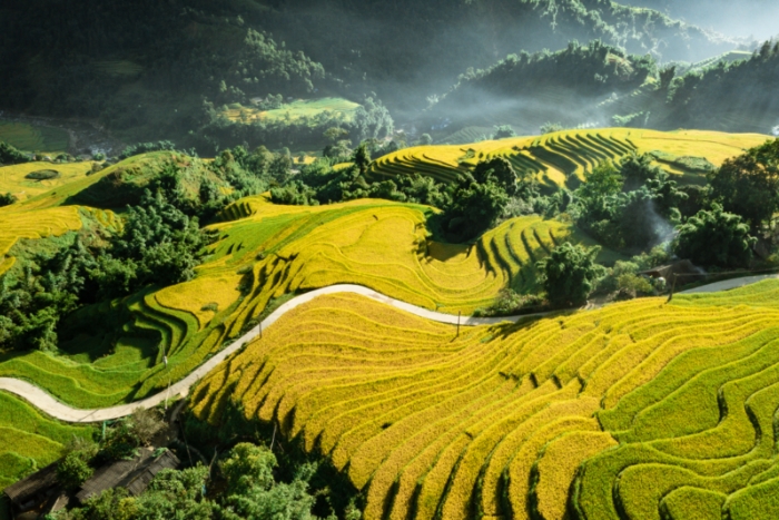 Visiting Vietnam in October lets you admire the golden terraced rice fields in Sapa