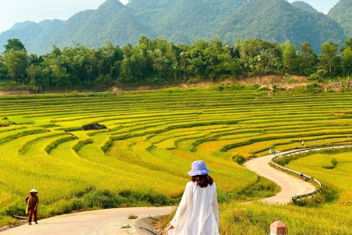 Best season to visit Sapa for golden rice fields
