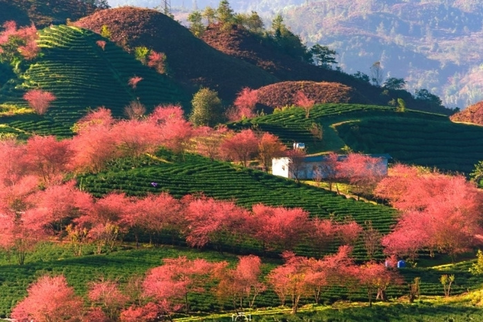 Visiting Sapa in the Dry Season