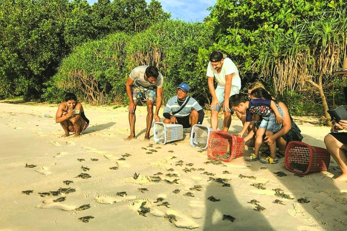 What to do in Vietnam with kids ? Observing sea turtles in Con Dao