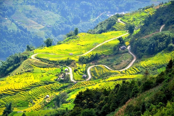 Many mountain trails in Vietnam have become favorite destinations for mountain bikers