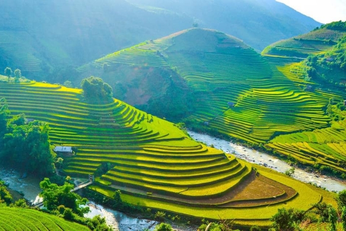 Terraced rice fields in northern Vietnam