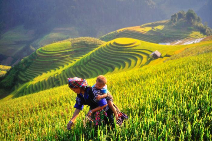 Ethnic minority group in Mu Cang Chai