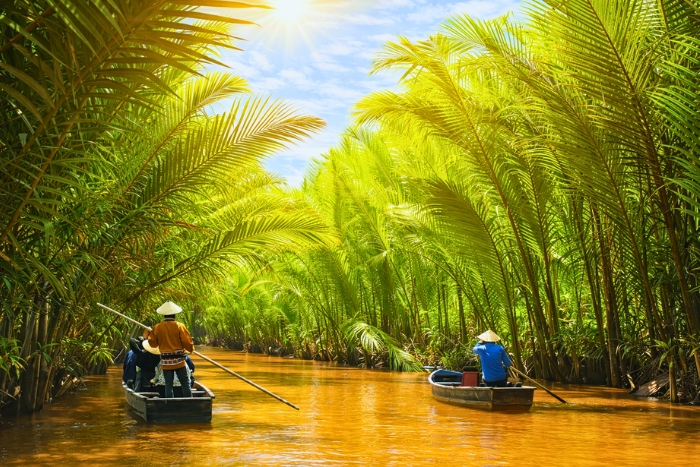 Boat ride among coconut trees in the canals of Ben Tre