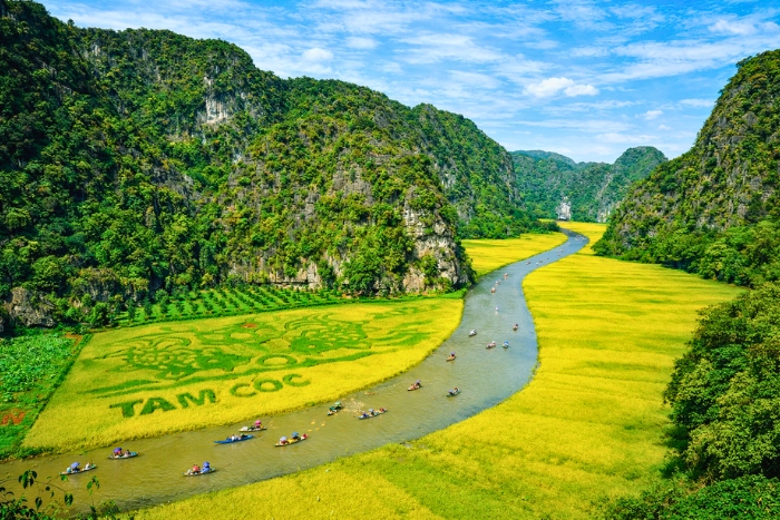 Exploring the natural beauty of Tam Coc by boat on the Ngo Dong River