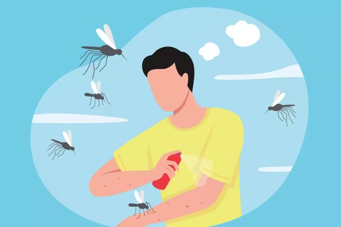 Best practices to prevent mosquito bites