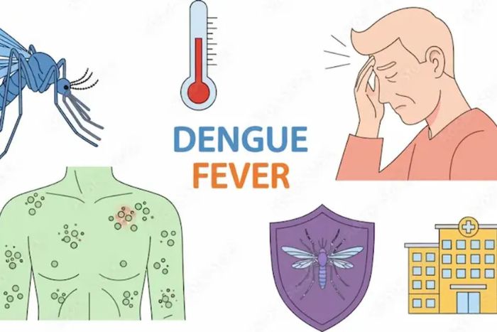 Main symptoms of dengue fever