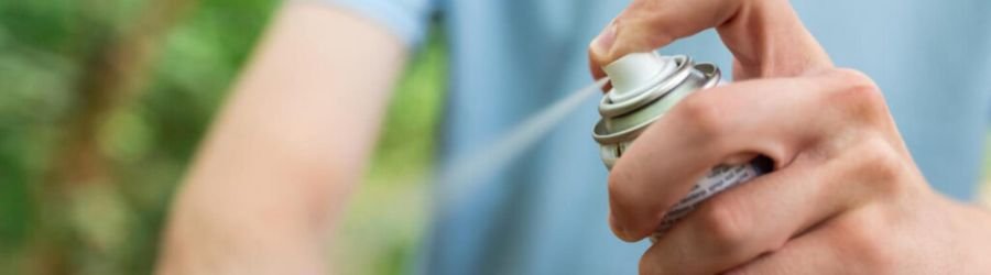 Discover how to prevent dengue fever in Vietnam