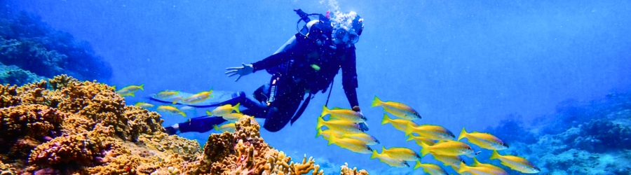 Snorkeling in Northern and Central Vietnam