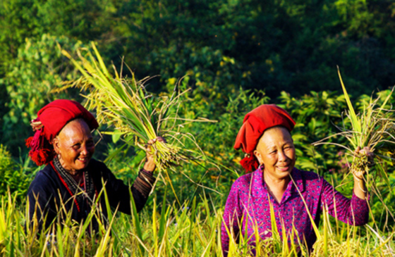 Vietnam In September: Weather, Where To Go, What To See, Itinerary And FAQ