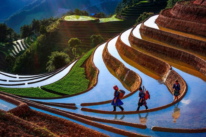 Admire Mu Cang Chai in pouring water season 