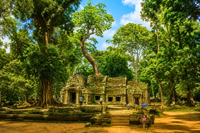 Traveling to Cambodia in July - Immersion in the heart of the green season