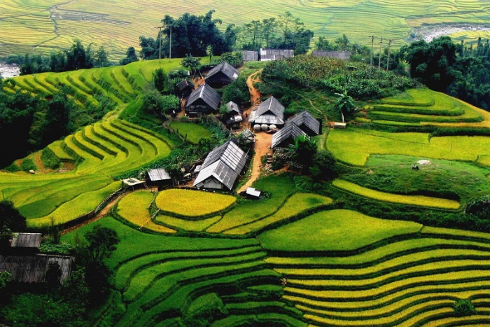 Terrace rice fields in Sapa - a landscape not to be missed during Vietnam Cambodia trip