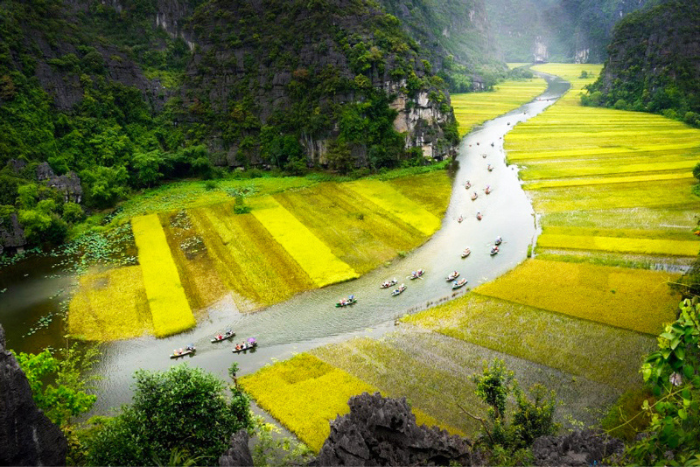 Tourists take a boat ride to admire Tam Coc rice field in Ninh Binh