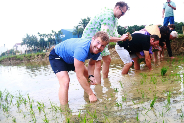 Tourists learn how to plant crops in Vietnam rice fields