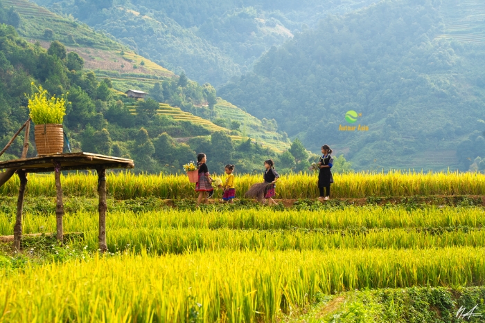 Preserve Vietnam - Travel with respect and kindness