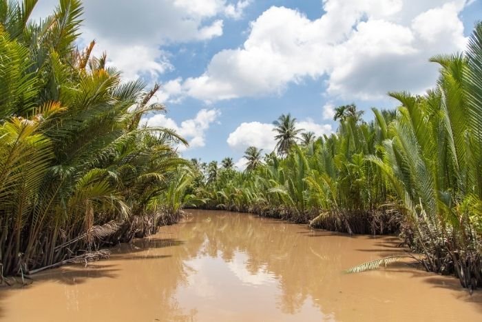 Immerse yourself in the tranquil world of the Mekong Delta