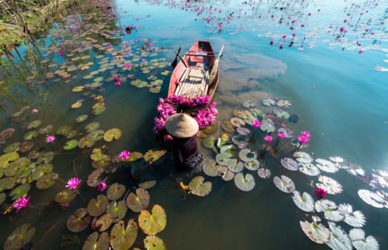 Which Part Of Vietnam Is Most Scenic?