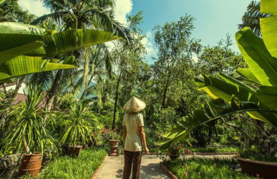 Which Month Is Best For A Vietnam Tour?