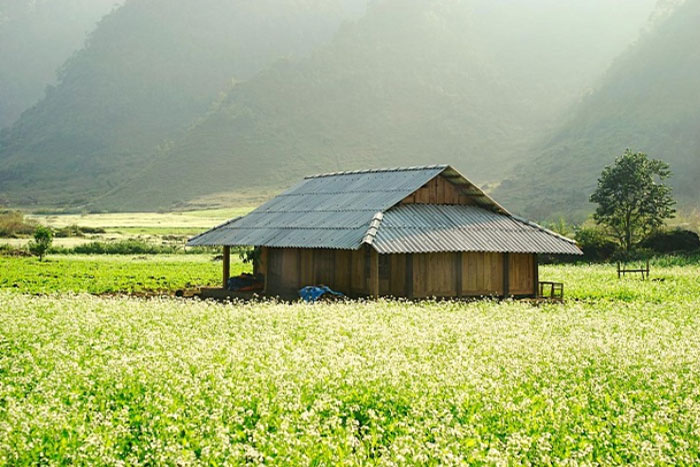 Vietnam mountainous scene