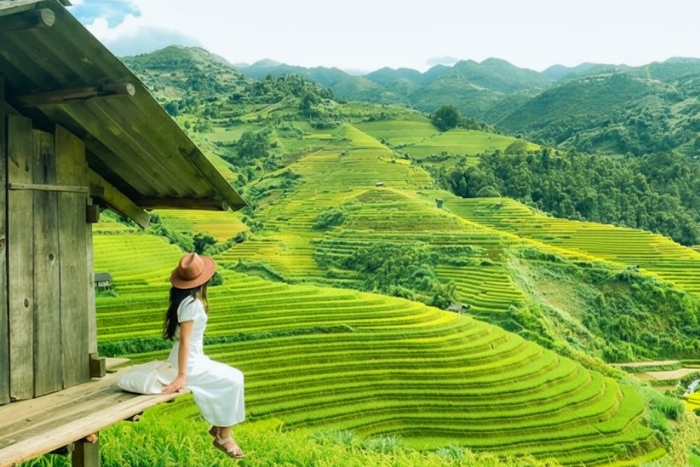 Terraced rice fields of the Muong Hoa valley