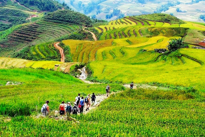 Hiking in Muong Hoa, one of the best nature travel experiences in Vietnam in March