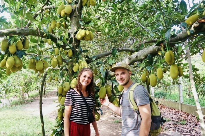 Tropical orchards of the Mekong Delta in March: A gourmet immersion at the heart of Southern fruits