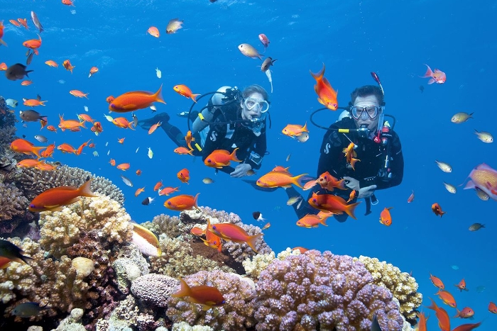 Scuba diving at Phu Quy Island