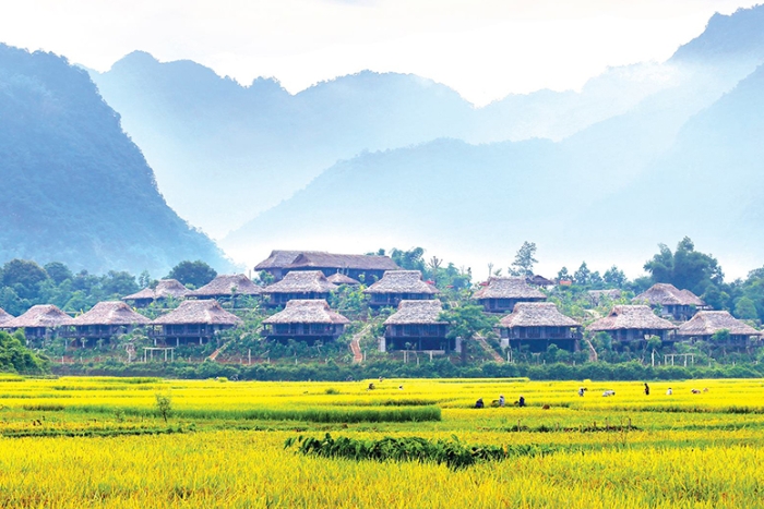 Peaceful beauty in Mai Chau Hoa Binh 