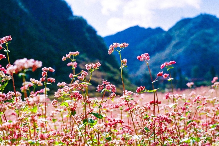 What is the weather like in Vietnam in October? 