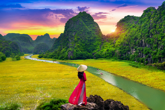 Ninh Binh vast rice field among moutains