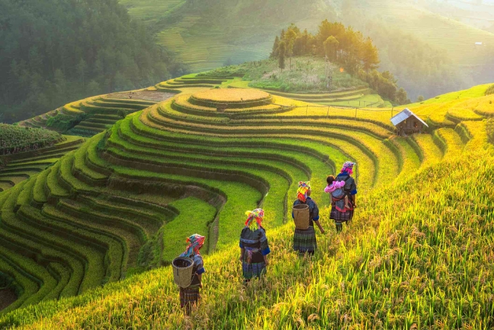 Where to go for a 15-day Vietnam in October? An itinerary focused on Northern Vietnam is a good choice