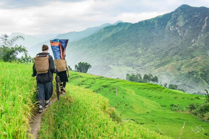 A group trip to Vietnam can help reduce travel costs