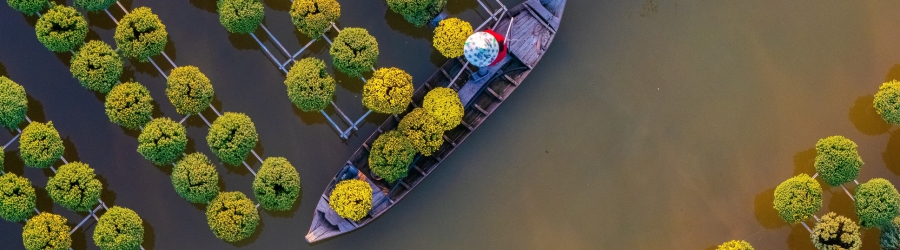 What to do with 2 weeks in Vietnam with friends?