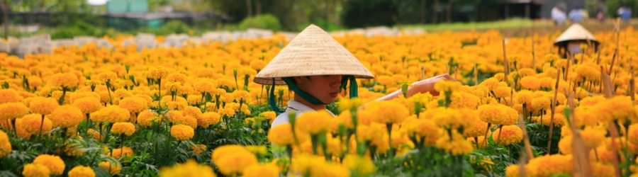 Vietnam 2 semaines en février - que savoir avant de partir ?