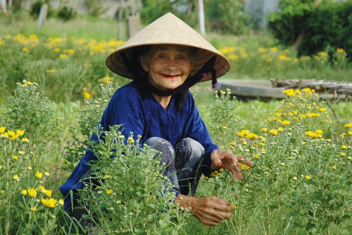 Traveling alone in Vietnam for 2 weeks: everything you need to know before you go