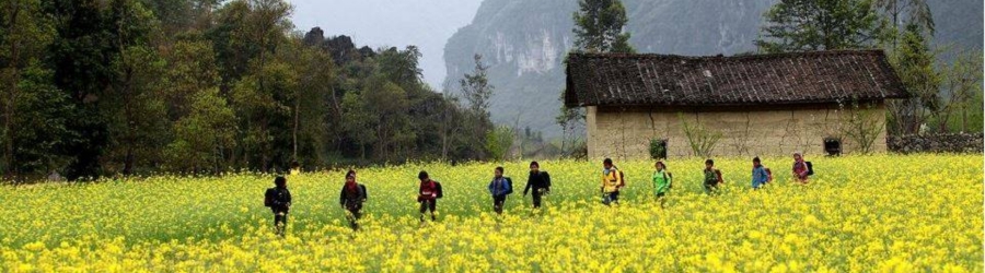 What to do in Vietnam for 2 weeks in December?
