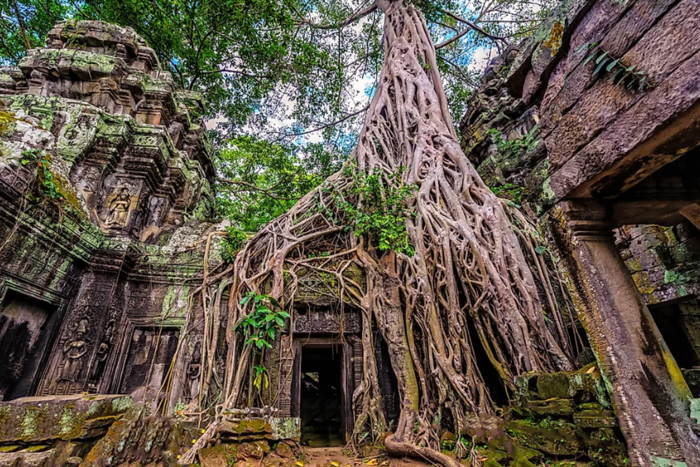 Ta Prohm - the temple with strange tree roots