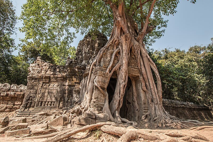 Ta Som Temple, Cambodia