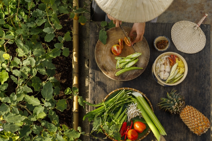 2-week food itinerary in Vietnam
