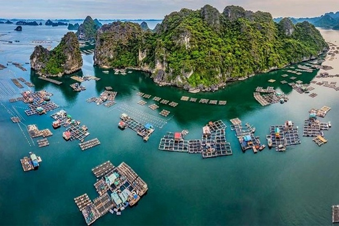 Vung Viêng Fishing Village