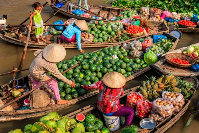 Colorful Mekong Delta 