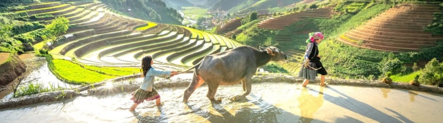 Explore Vietnam Laos Cambodia 45-day travel itinerary with Mrs Anne's family