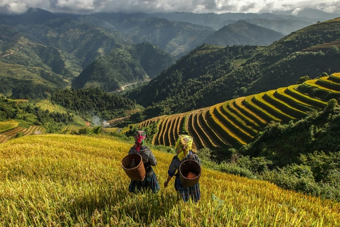 Vietnam Myanmar which country to choose? Summer in Sapa, Vietnam