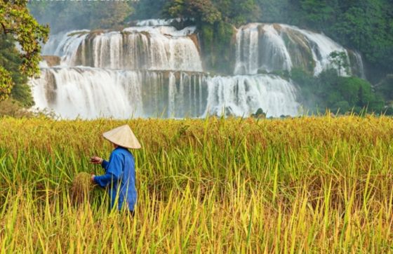2-week Nature Vietnam Itinerary - Best Places To Visit