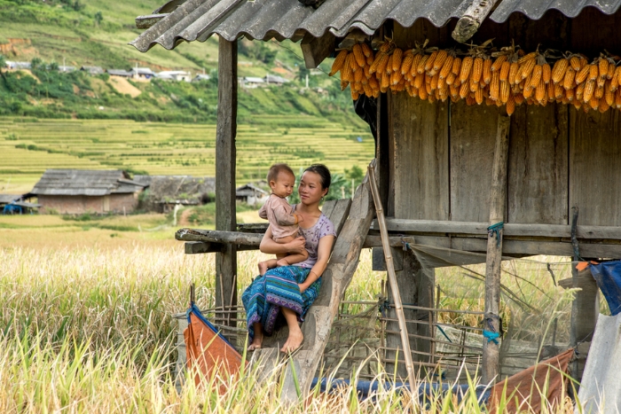 A 2-week nature Vietnam itinerary combining landscapes, culture, and local encounters