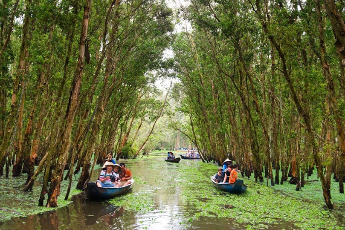 Tra Su Cajuput Forest, Chau Doc, Mekong Delta, Vietnam