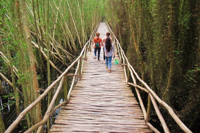 Tan Lap Floating Village in Long An, Mekong Delta, surrounded by centuries-old cajuput forests